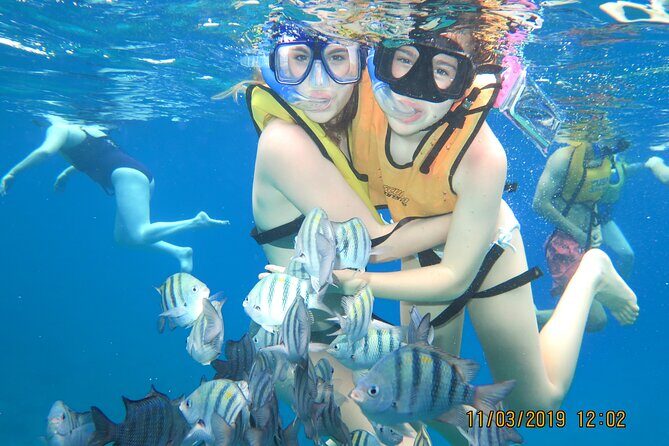 Snorkeling Trip at Cozumel Beach Club with Lunch Included - How the Tour Scores Based on Reviews