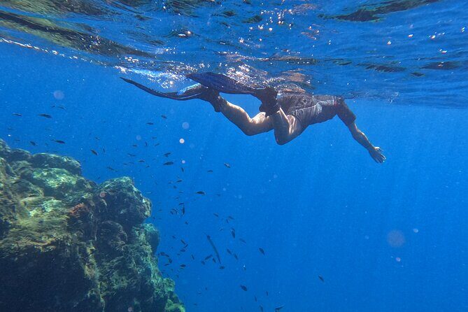 Snorkeling with a Professional Instructor in Tenerife - FAQ