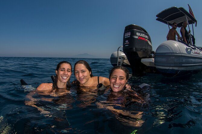 Snorkeling with Marine Biologist Expert from Sorrento - Who Should Book This?