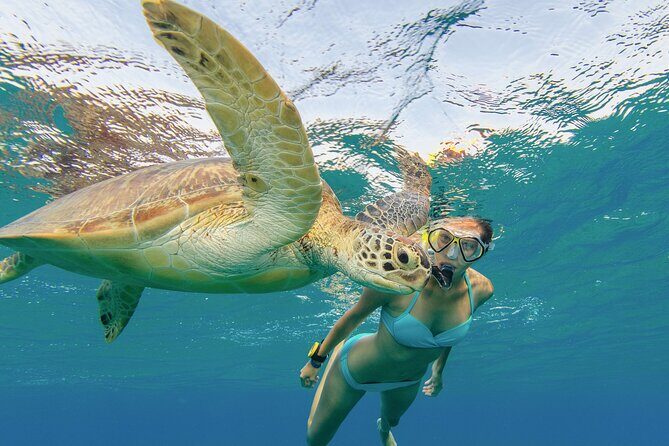 Snorkeling with Turtle/Water Scooter/Paddleboard Adventures Oahu - Final thoughts
