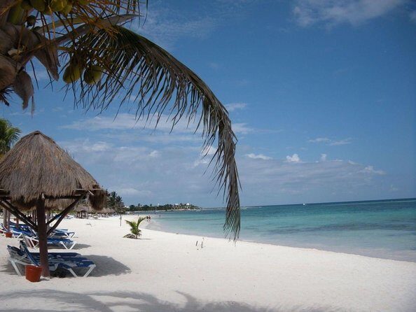 Snorkeling with Turtles and Cenote Tour from Riviera Maya - Key Points