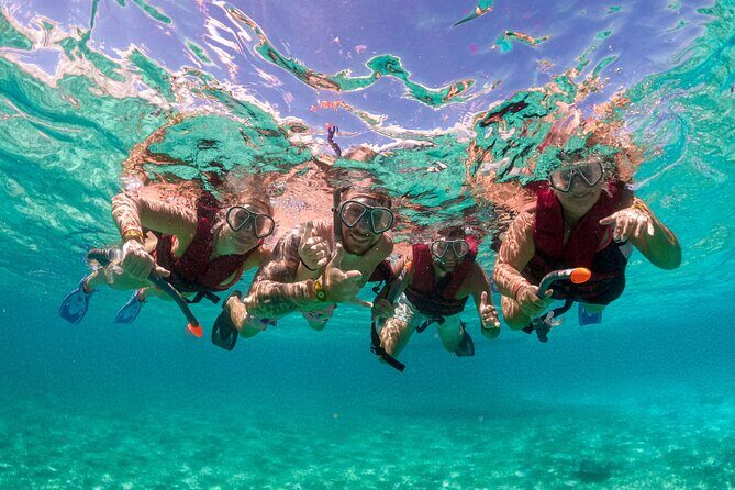 Snorkelling Experience - Snorkelling Experience in Sorrento: A Clear Look into the Underwater Charm