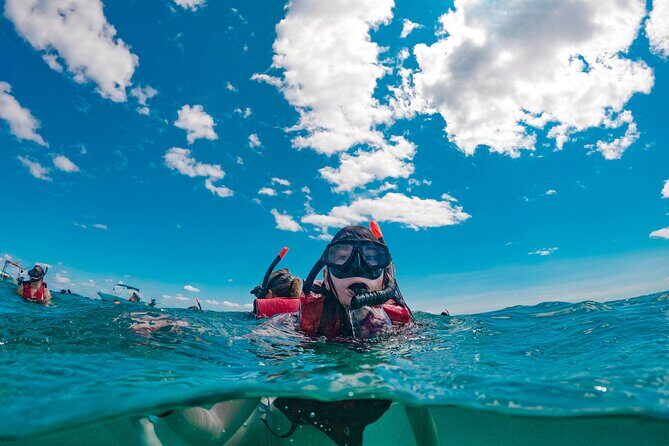 Snorkelling Experience - What To Expect from the Snorkelling Tour in Sorrento
