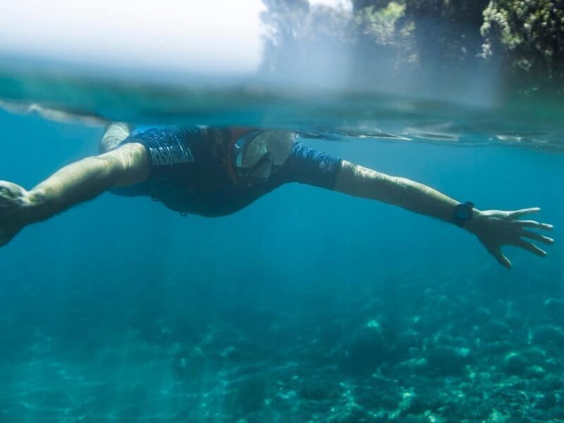Snorkelling & Marine Biology Experience in the Cinque Terre - Accessibility and Practicalities