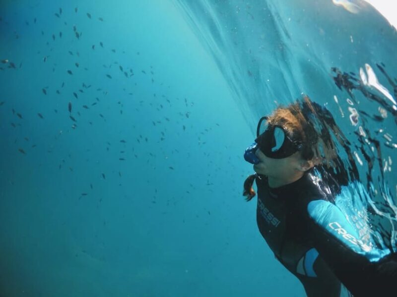 Snorkelling & Marine Biology Experience in the Cinque Terre - The Overall Experience