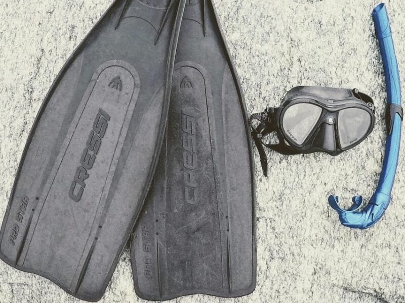 Snorkelling & Marine Biology Experience in the Cinque Terre - Who Will Love This Tour?