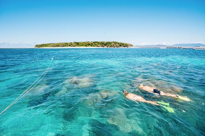 Snorkelling or Glass Bottom Boat at Green Island from Cairns - The Experience at a Glance