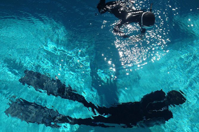 Snorkelling Trip at Ponta de São Lourenço Protected Area - Real Traveler Insights