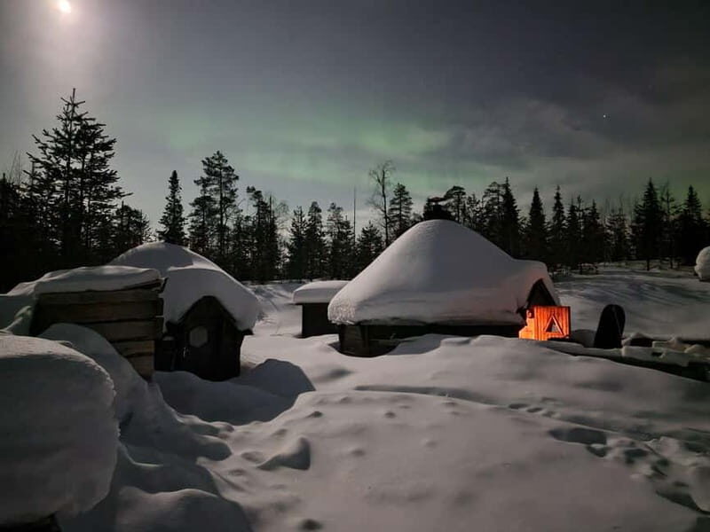 Snow Activities and reindeer feeding in nature - Discovering the Magic of Lapland: What to Expect