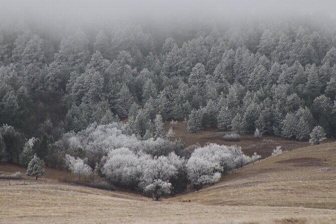 Snow-Capped Escapes: Black Hills in Winter - FAQ