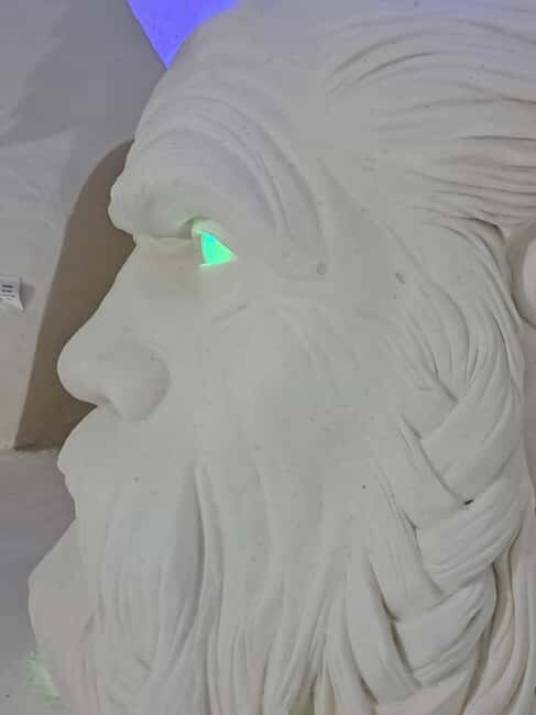 Snow Village Visit by Snowmobile Safari from Ylläsjärvi - Key Points