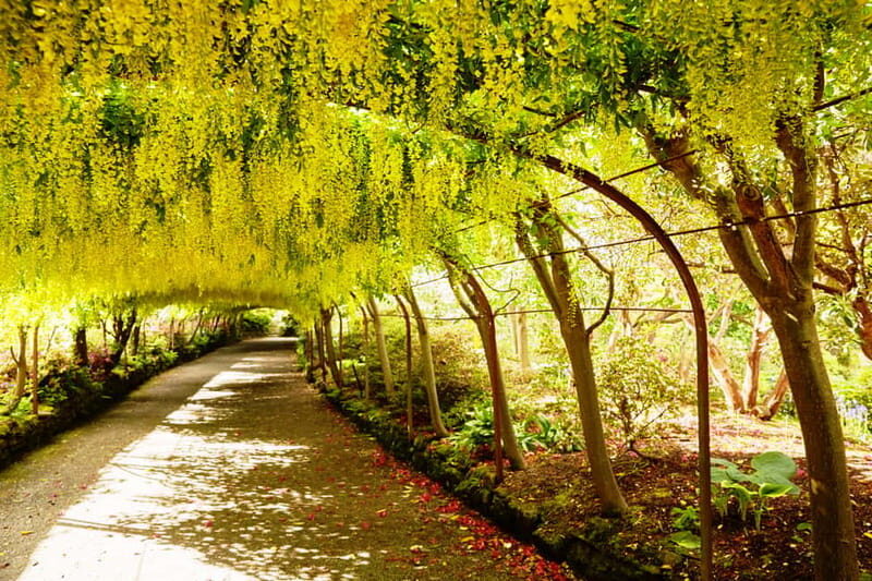 Snowdonia: Snowdonia, Bodnant Gardens & Castles Private Tour - Who Will Love This Tour?