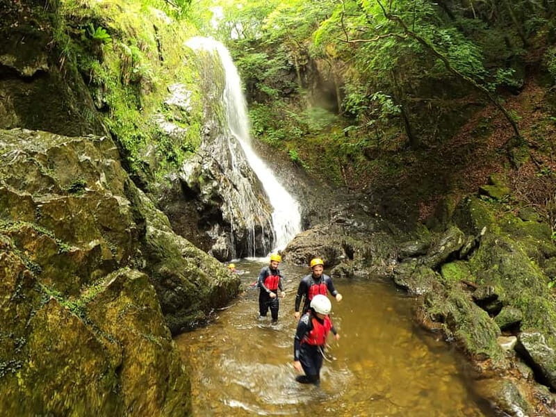 Snowdonia: Thrilling Gorge Walking Tour with Expert Guides - Swimming in Mountain Pools