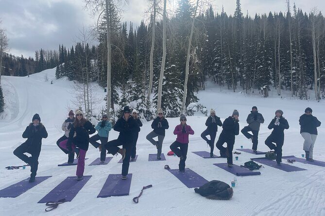 Snowga - Snowshoe and Yoga in Park City's Winter Wonderland - The Sum Up