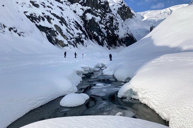 Snowmobile and Snowshoe Dual Adventure in Kenai Fjords NP - What Could Be Better?