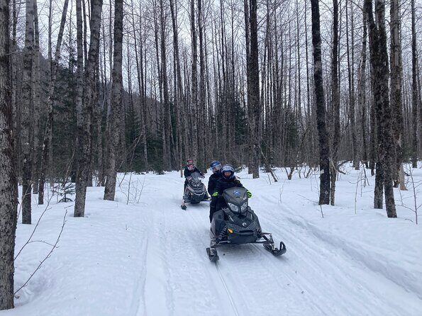 Snowmobile Classic Tour in Kenai Fjords National Park - An In-Depth Look at the Snowmobile Classic Tour