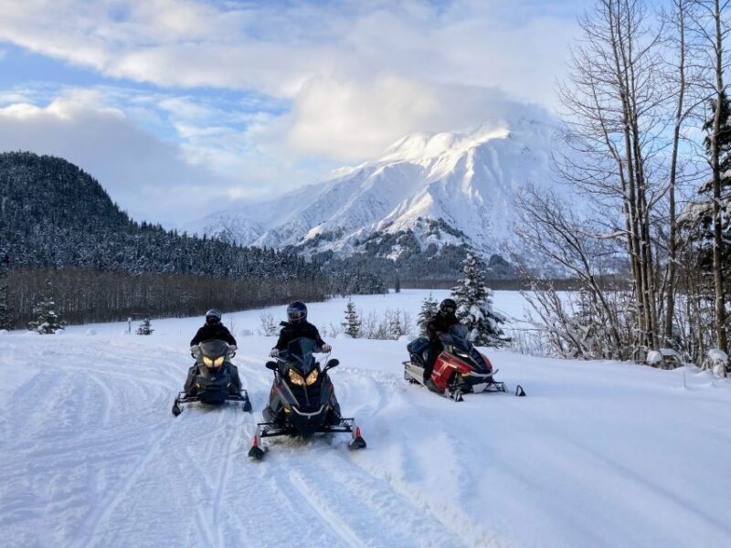Snowmobile Classic Tour in Kenai Fjords National Park - Is This Tour Worth the Price?