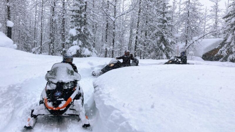 Snowmobile Classic Tour in Kenai Fjords National Park - FAQs