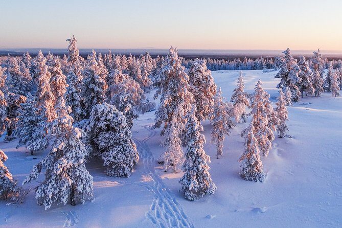 Snowmobile Driving - Morning start - Who Should Consider This Tour?