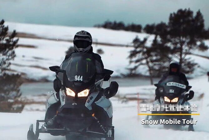 Snowmobile Guided Tour within The Date with Aurora in Alaska - Who Is This Tour Best For?