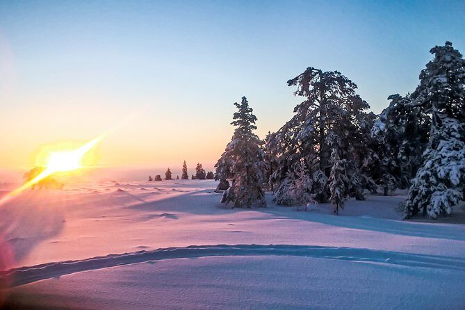 Snowmobile Safari in the Nature - FAQs