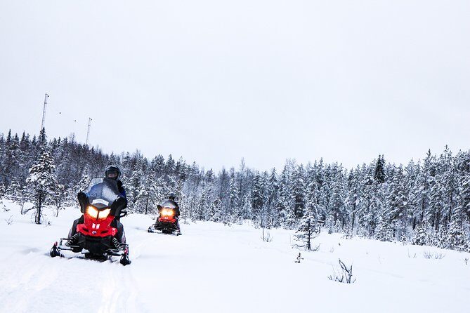 Snowmobile Safari on the Tundra - What Travelers Love About This Tour