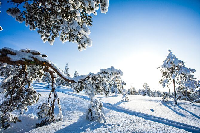 Snowmobile Safari on the Tundra - FAQ