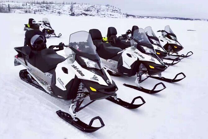 Snowmobile Tour - Who Is This Tour Best For?