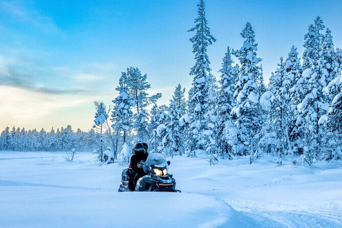 Snowmobile Tour with Small Group in Remote Wilderness 3 Hours - Exploring the Rovaniemi Snowmobile Tour in Remote Wilderness