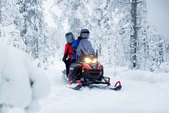 Snowmobile Tour with Small Group in Remote Wilderness 3 Hours - Key Points