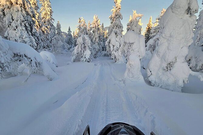 Snowmobile Tour with Small Group in Remote Wilderness 3 Hours - Final Thoughts: Is This the Right Arctic Adventure for You?