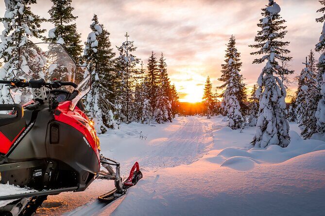 Snowmobile Tours in Rovaniemi Lapland - Why This Tour Gets Rave Reviews