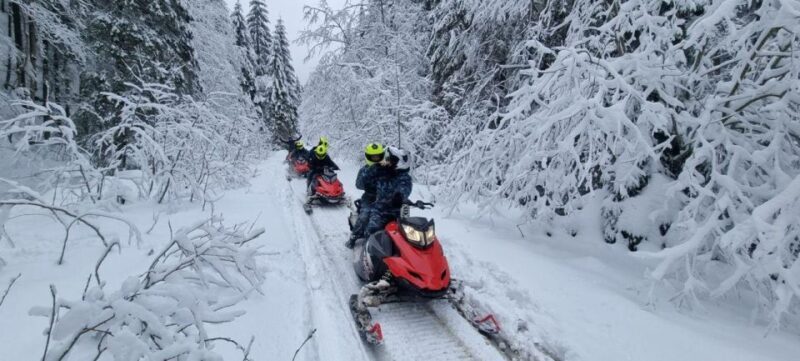 SnowMobiles Tour in Carpathian Mountains - What to Expect on the Tour