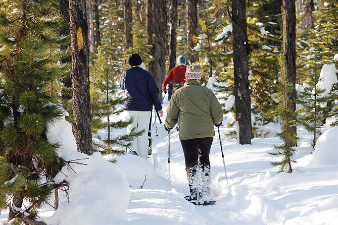Snowshoe Adventure Frozen Falls and Firelight Tour - Price and Value: Is It Worth It?