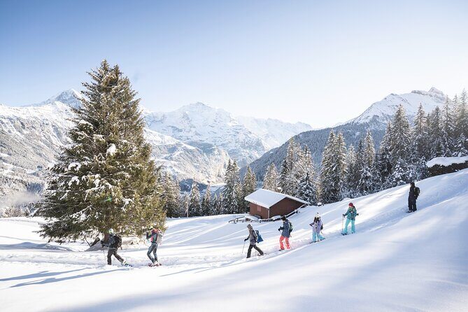 Snowshoe Adventure in the Swiss Alps - The Experience: More Than Just a Walk