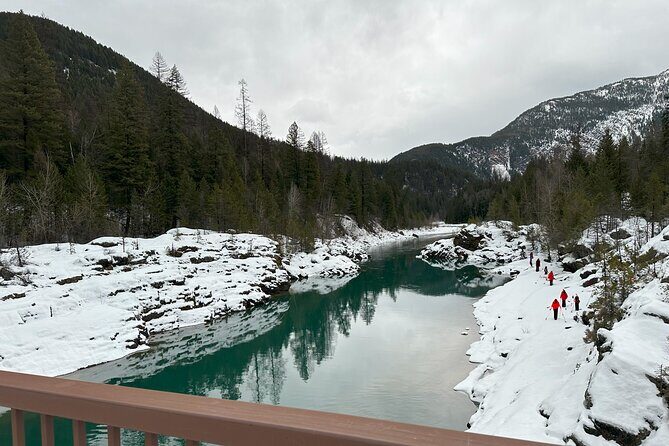 Snowshoe Day Tour In Glacier National Park - The Sum Up