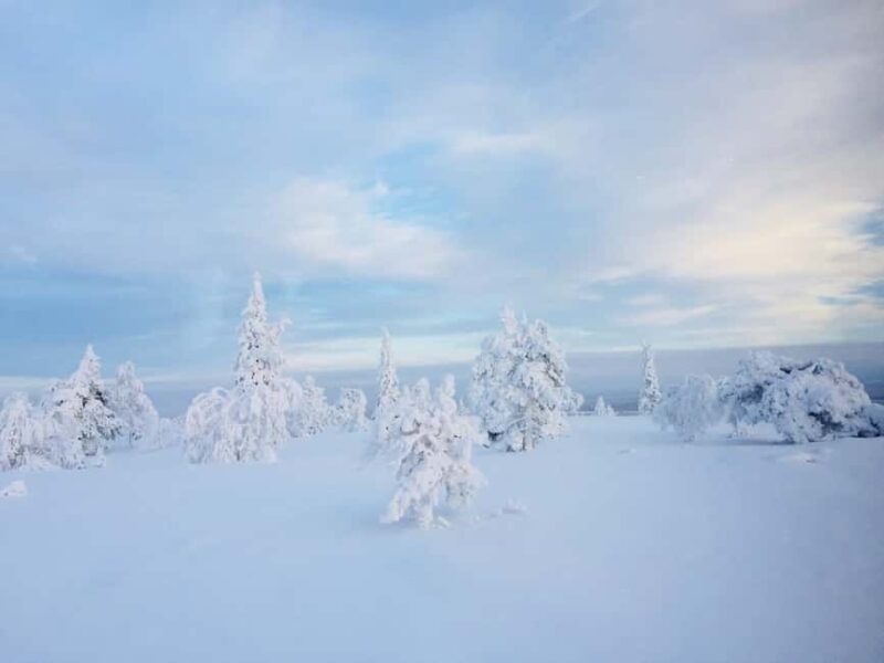 Snowshoe experience with traditional beverages in Lapland - Key Points