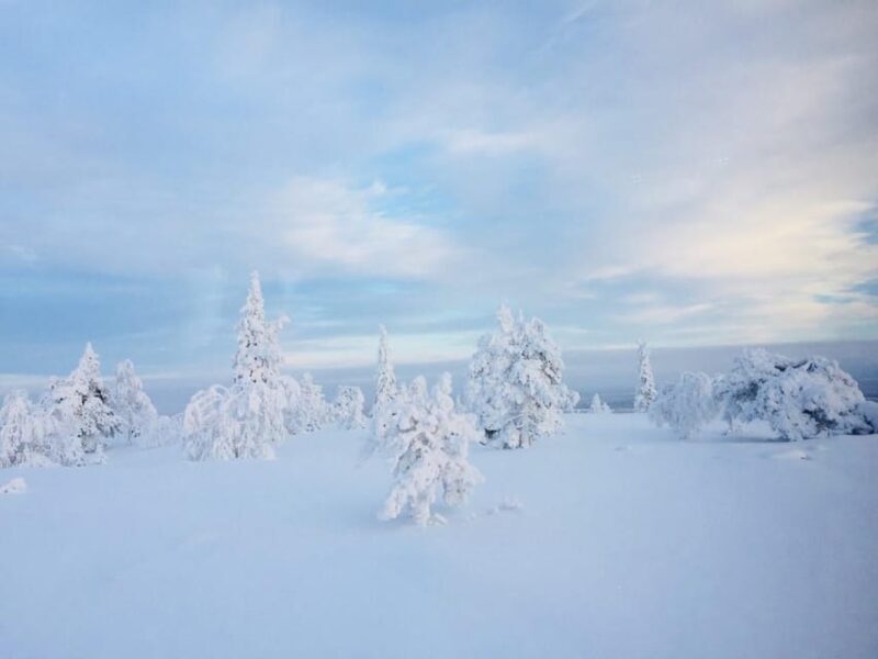 Snowshoe experience with traditional beverages in Lapland - Final Thoughts: Who Should Consider This Tour?