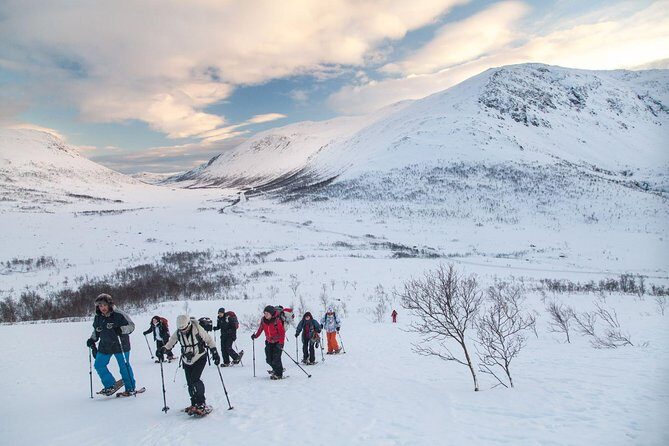 Snowshoe Hill Hike in Tromsø - What to Expect on the Snowshoe Hill Hike