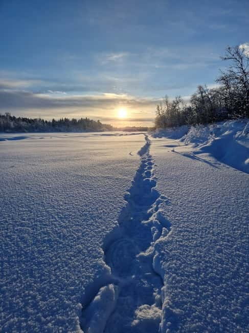 Snowshoe in a Winter Forest - Key Points