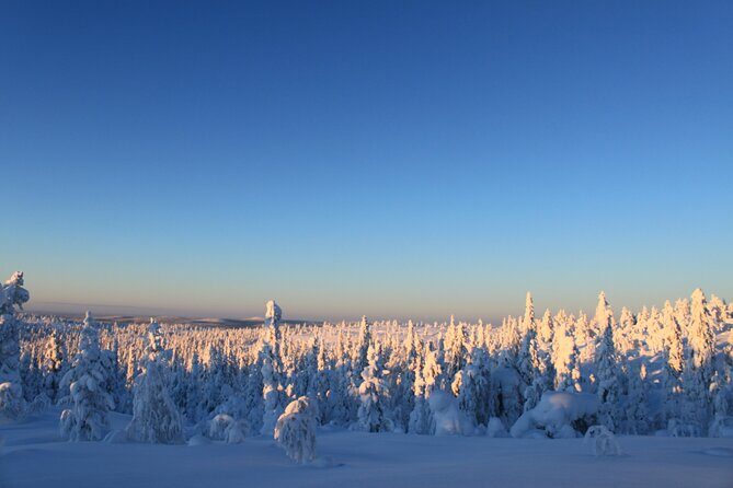 Snowshoe in a Winter Forest - Who Is This Tour Best For?