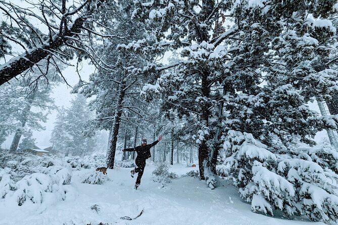 Snowshoe Tour Big Bear Lake with Hot Chocolate - The Itinerary: What You Can Expect
