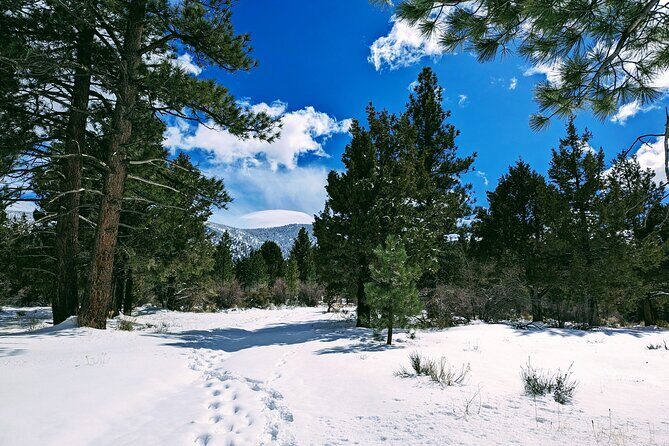 Snowshoe Tour Big Bear Lake with Hot Chocolate - Who Would Love This Tour?