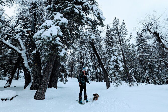 Snowshoe Tour Big Bear Lake with Hot Chocolate - Final Thoughts