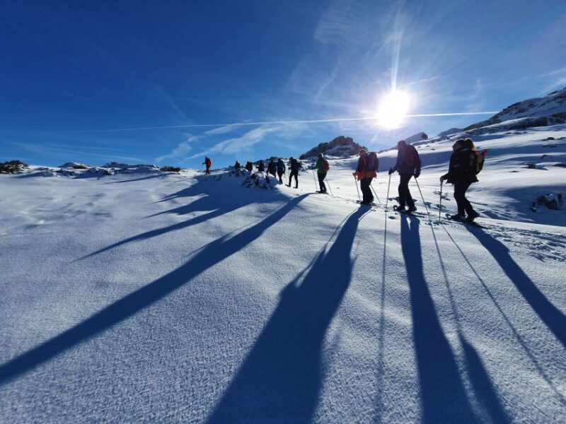 Snowshoe tour Ifen/Gottesacker Allgäu Kleinwalsertal - What You Can Expect from This Snowshoe Tour