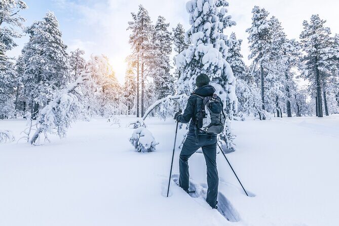 Snowshoe Tour in the Lake Tahoe Mountains - Key Points