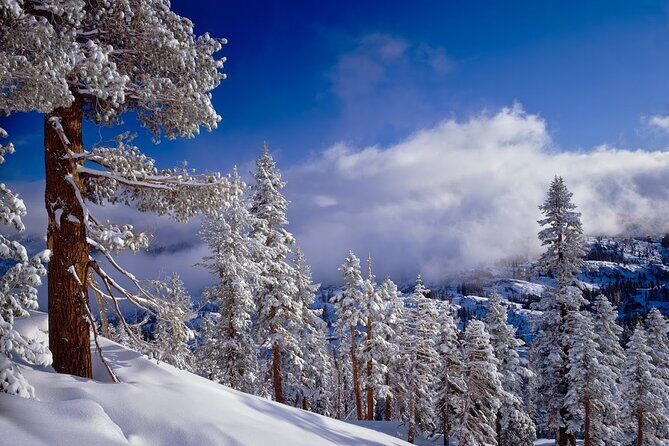 Snowshoe Tour in the Lake Tahoe Mountains - FAQ