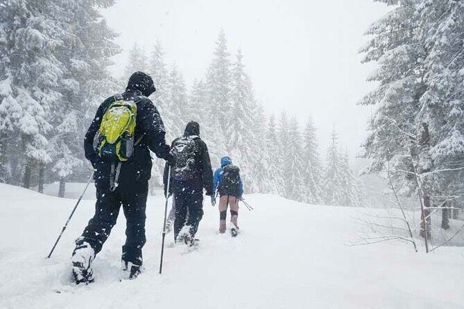 Snowshoe tour in Winter Wonderland - Oslo - Exploring Oslo’s Winter Wonderland on Snowshoes