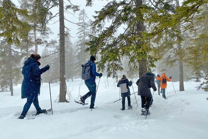 Snowshoe tour in Winter Wonderland - Oslo - FAQs about the Snowshoe Tour in Winter Wonderland