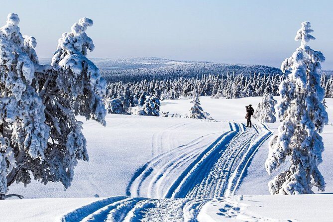 Snowshoe Trip for Searching Arctic Animals - FAQs